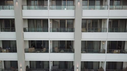 scene00841